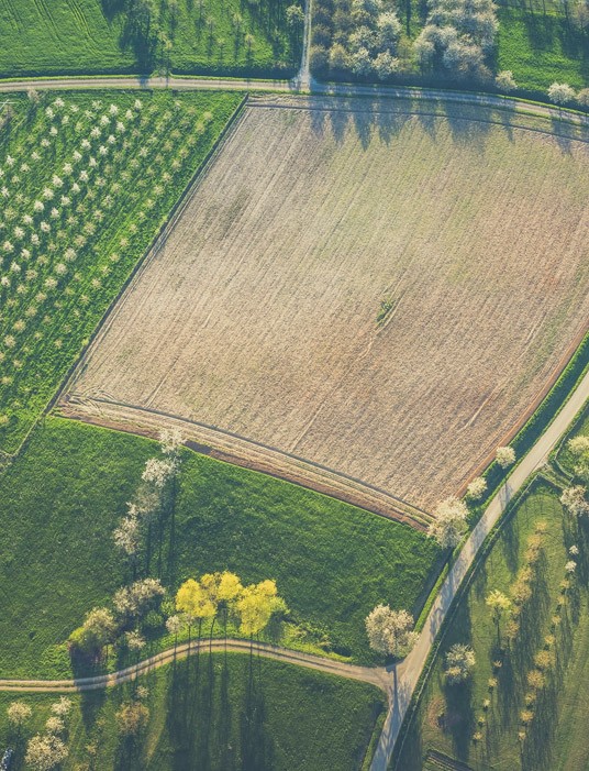 Cereal Broker - Biologiche