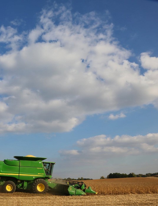 Cereal Broker - Filiera