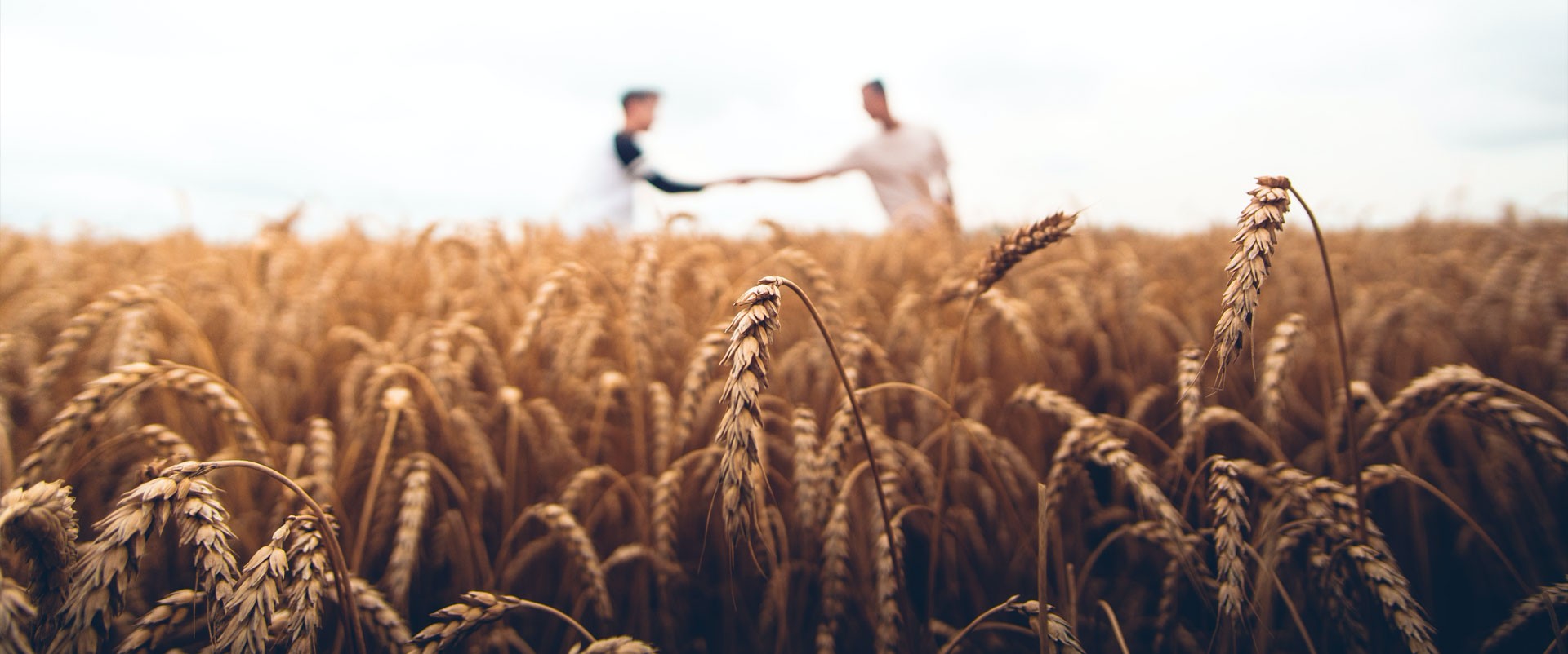 Cereal Broker - La nostra esperienza