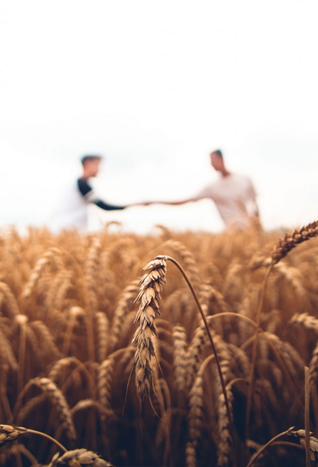 Cereal Broker - La nostra esperienza