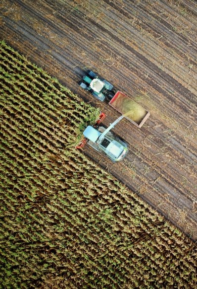 Cereal Broker - La Filiera