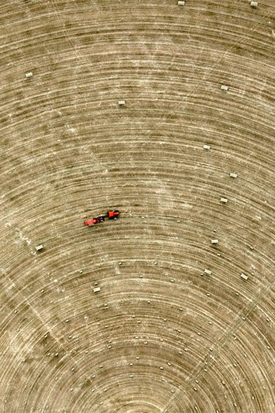 Cereal Broker - Non tutte le farine sono uguali